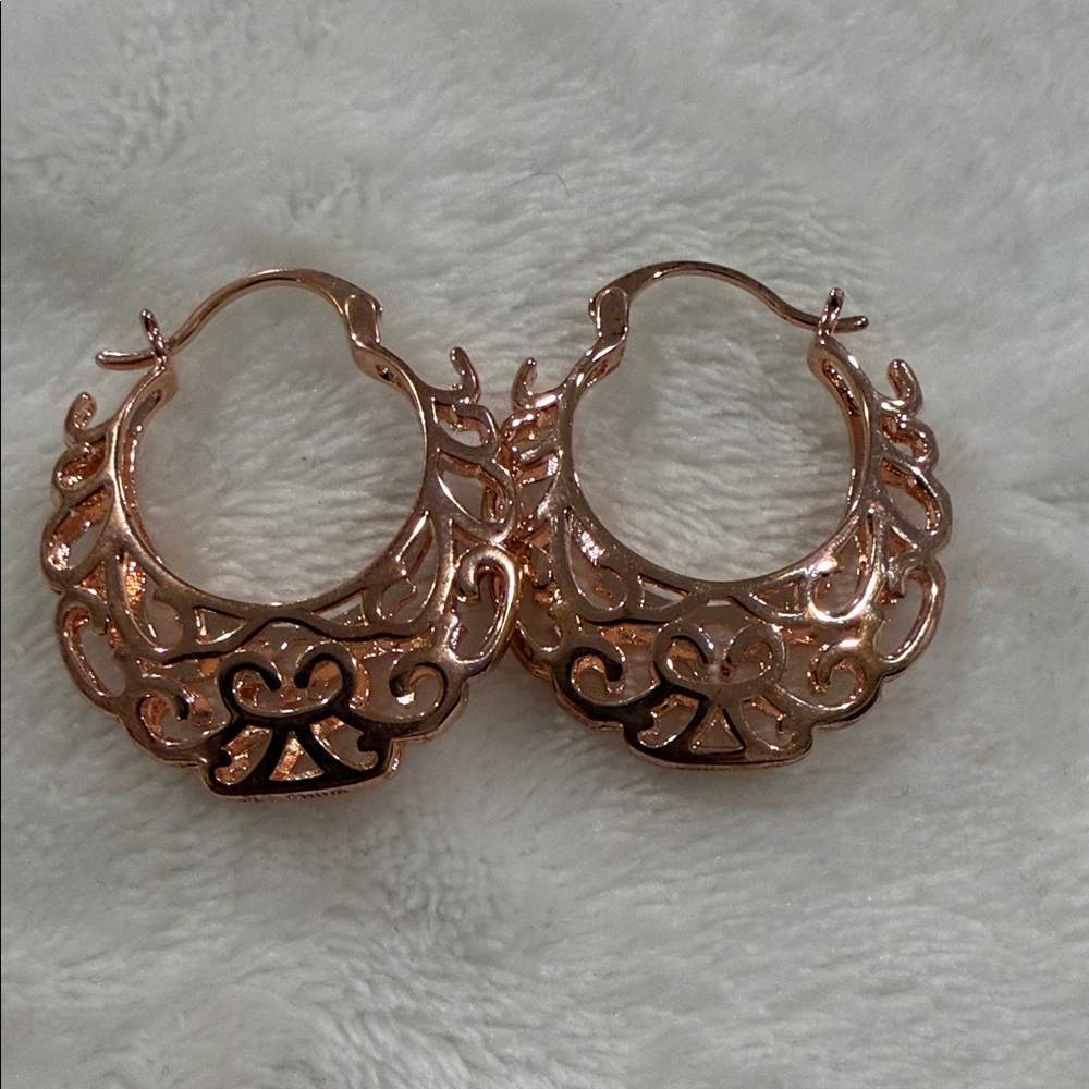 Elegant Rose Gold Tone Hoop Earrings